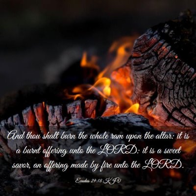 Picture 03 - Exodus 29:18 KJV - And thou shalt burn the whole ram upon the altar: - Bible Verse Picture