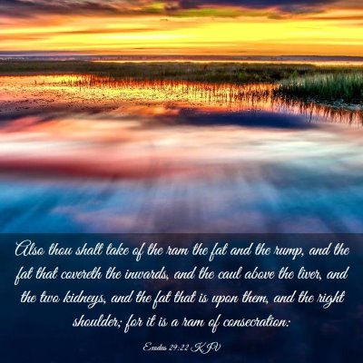 Picture 03 - Exodus 29:22 KJV - Also thou shalt take of the ram the fat and the - Bible Verse Picture