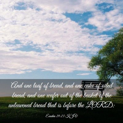 Picture 03 - Exodus 29:23 KJV - And one loaf of bread, and one cake of oiled - Bible Verse Picture