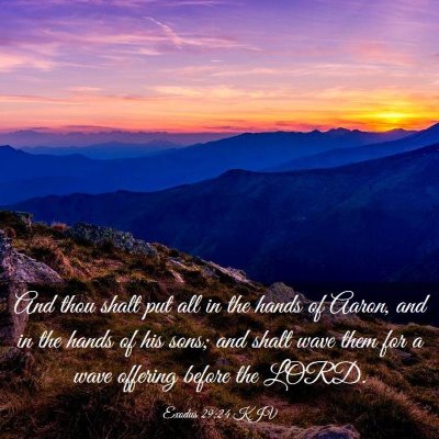 Picture 03 - Exodus 29:24 KJV - And thou shalt put all in the hands of Aaron, and - Bible Verse Picture
