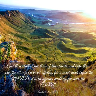 Picture 03 - Exodus 29:25 KJV - And thou shalt receive them of their hands, and - Bible Verse Picture