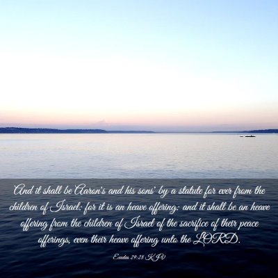 Picture 03 - Exodus 29:28 KJV - And it shall be Aaron's and his sons' by a - Bible Verse Picture
