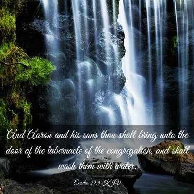 Picture 03 - Exodus 29:4 KJV - And Aaron and his sons thou shalt bring unto the - Bible Verse Picture