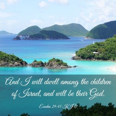Picture 03 - Exodus 29:45 KJV - And I will dwell among the children of Israel, - Bible Verse Picture