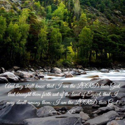Picture 03 - Exodus 29:46 KJV - And they shall know that I am the LORD their God, - Bible Verse Picture