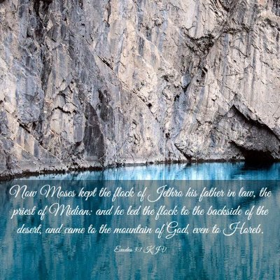 Picture 03 - Exodus 3:1 KJV - Now Moses kept the flock of Jethro his father in - Bible Verse Picture