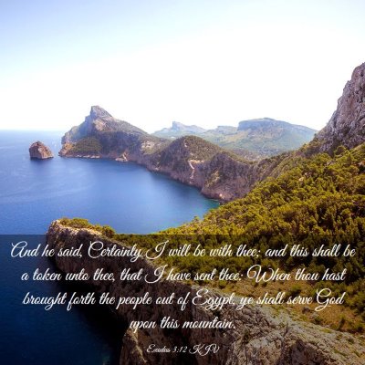 Picture 03 - Exodus 3:12 KJV - And he said, Certainly I will be with thee; and - Bible Verse Picture