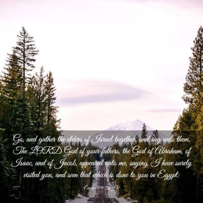 Picture 03 - Exodus 3:16 KJV - Go, and gather the elders of Israel together, and - Bible Verse Picture