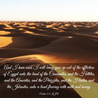 Picture 03 - Exodus 3:17 KJV - And I have said, I will bring you up out of the - Bible Verse Picture