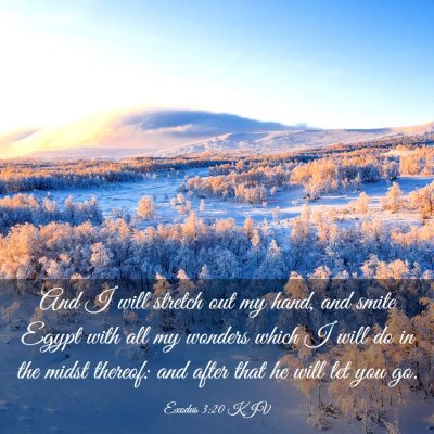 Picture 03 - Exodus 3:20 KJV - And I will stretch out my hand, and smite Egypt - Bible Verse Picture
