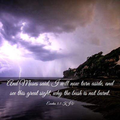 Picture 03 - Exodus 3:3 KJV - And Moses said, I will now turn aside, and see - Bible Verse Picture