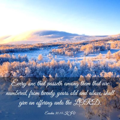Picture 03 - Exodus 30:14 KJV - Every one that passeth among them that are - Bible Verse Picture