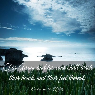 Picture 03 - Exodus 30:19 KJV - For Aaron and his sons shall wash their hands and - Bible Verse Picture