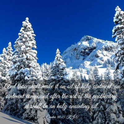 Picture 03 - Exodus 30:25 KJV - And thou shalt make it an oil of holy ointment, - Bible Verse Picture