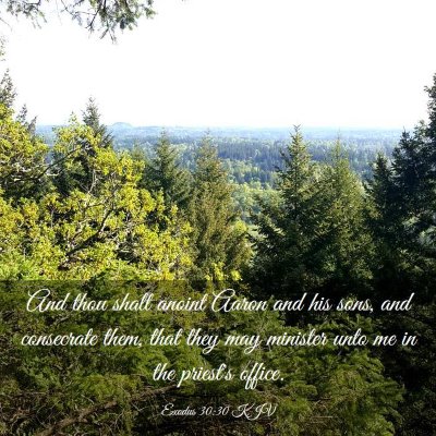 Picture 03 - Exodus 30:30 KJV - And thou shalt anoint Aaron and his sons, and - Bible Verse Picture