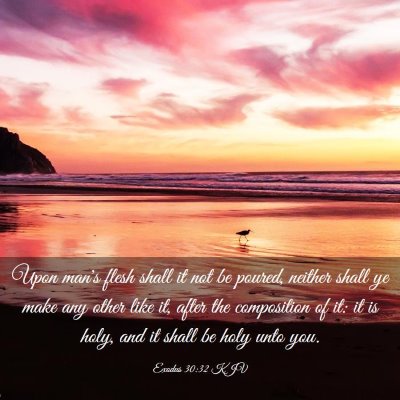 Picture 03 - Exodus 30:32 KJV - Upon man's flesh shall it not be poured, neither - Bible Verse Picture