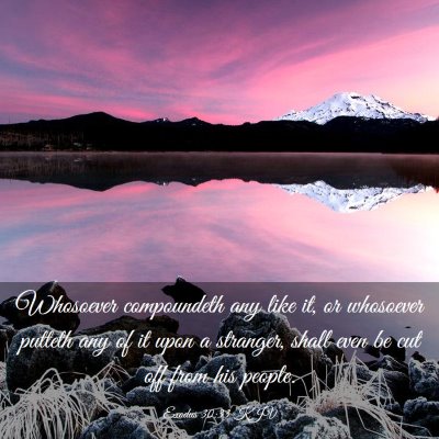 Picture 03 - Exodus 30:33 KJV - Whosoever compoundeth any like it, or whosoever - Bible Verse Picture