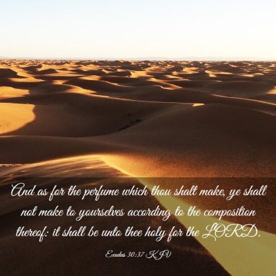 Picture 03 - Exodus 30:37 KJV - And as for the perfume which thou shalt make, ye - Bible Verse Picture