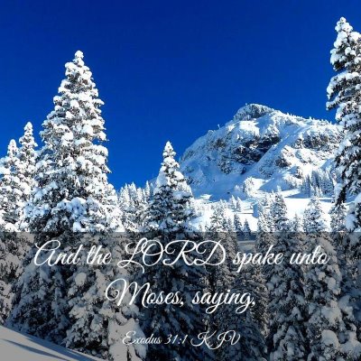 Picture 03 - Exodus 31:1 KJV - And the LORD spake unto Moses, - Bible Verse Picture