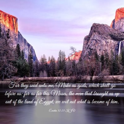 Picture 03 - Exodus 32:23 KJV - For they said unto me, Make us gods, which shall - Bible Verse Picture