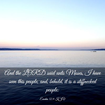 Picture 03 - Exodus 32:9 KJV - And the LORD said unto Moses, I have seen this - Bible Verse Picture