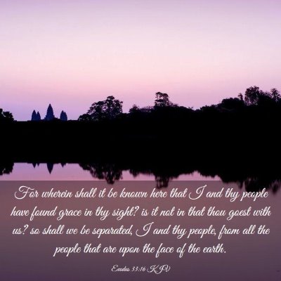 Picture 03 - Exodus 33:16 KJV - For wherein shall it be known here that I and thy - Bible Verse Picture