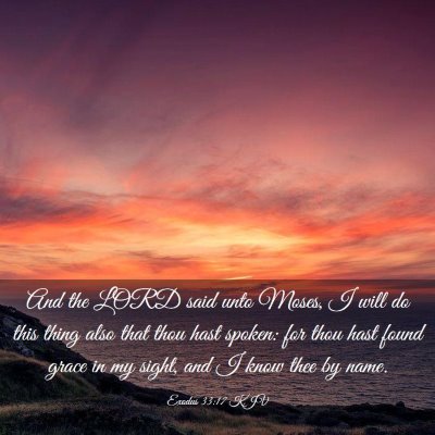 Picture 03 - Exodus 33:17 KJV - And the LORD said unto Moses, I will do this - Bible Verse Picture