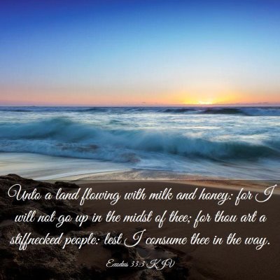 Picture 03 - Exodus 33:3 KJV - Unto a land flowing with milk and honey: for I - Bible Verse Picture