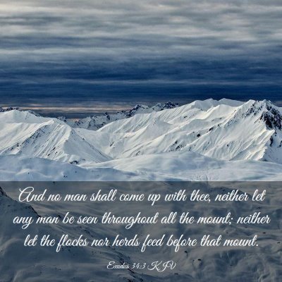 Picture 03 - Exodus 34:3 KJV - And no man shall come up with thee, neither let - Bible Verse Picture