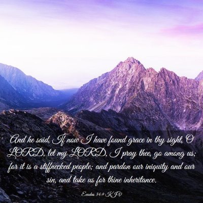 Picture 03 - Exodus 34:9 KJV - And he said, If now I have found grace in thy - Bible Verse Picture