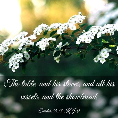 Picture 03 - Exodus 35:13 KJV - The table, and his staves, and all his vessels, - Bible Verse Picture