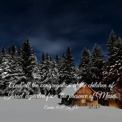Picture 03 - Exodus 35:20 KJV - And all the congregation of the children of - Bible Verse Picture