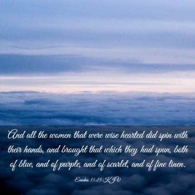 Picture 03 - Exodus 35:25 KJV - And all the women that were wise hearted did spin - Bible Verse Picture