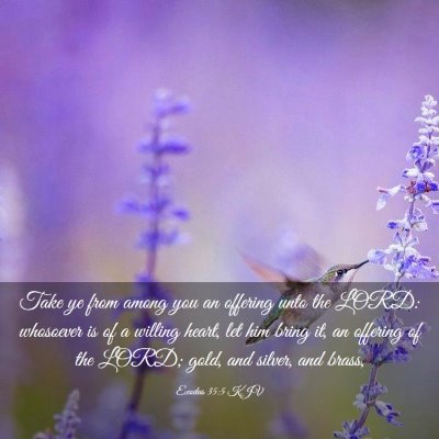 Picture 03 - Exodus 35:5 KJV - Take ye from among you an offering unto the LORD: - Bible Verse Picture