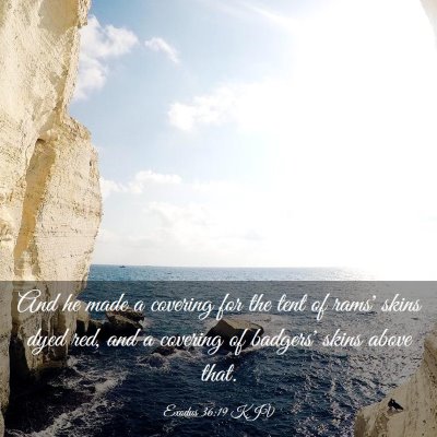 Picture 03 - Exodus 36:19 KJV - And he made a covering for the tent of rams' - Bible Verse Picture