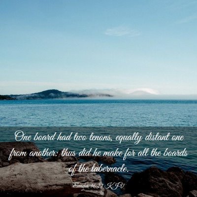 Picture 03 - Exodus 36:22 KJV - One board had two tenons, equally distant one - Bible Verse Picture
