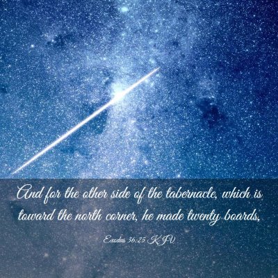 Picture 03 - Exodus 36:25 KJV - And for the other side of the tabernacle, which - Bible Verse Picture