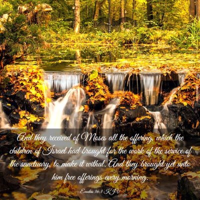 Picture 03 - Exodus 36:3 KJV - And they received of Moses all the offering, - Bible Verse Picture