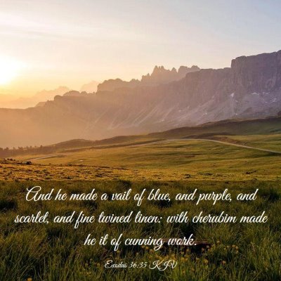 Picture 03 - Exodus 36:35 KJV - And he made a vail of blue, and purple, and - Bible Verse Picture