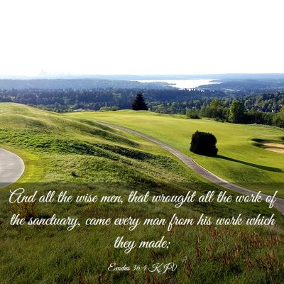 Picture 03 - Exodus 36:4 KJV - And all the wise men, that wrought all the work - Bible Verse Picture
