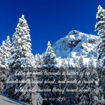 Picture 03 - Exodus 37:12 KJV - Also he made thereunto a border of an handbreadth - Bible Verse Picture