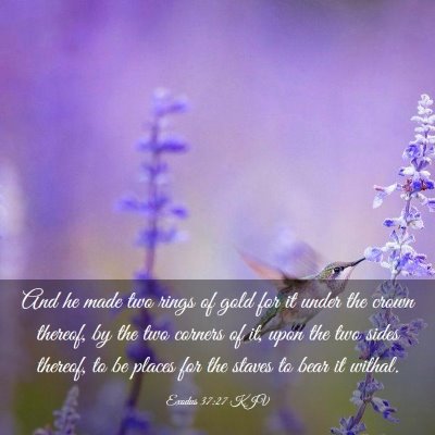 Picture 03 - Exodus 37:27 KJV - And he made two rings of gold for it under the - Bible Verse Picture