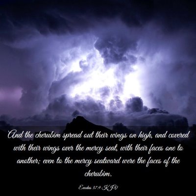 Picture 03 - Exodus 37:9 KJV - And the cherubim spread out their wings on high, - Bible Verse Picture