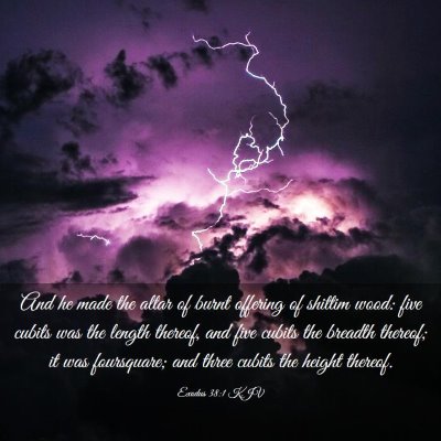 Picture 03 - Exodus 38:1 KJV - And he made the altar of burnt offering of - Bible Verse Picture