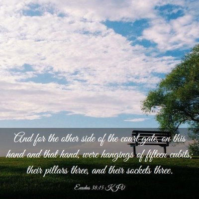 Picture 03 - Exodus 38:15 KJV - And for the other side of the court gate, on this - Bible Verse Picture