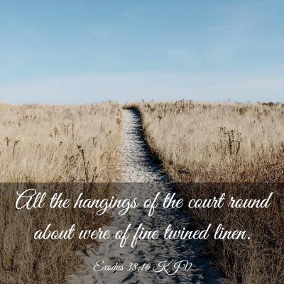 Picture 03 - Exodus 38:16 KJV - All the hangings of the court round about were of - Bible Verse Picture