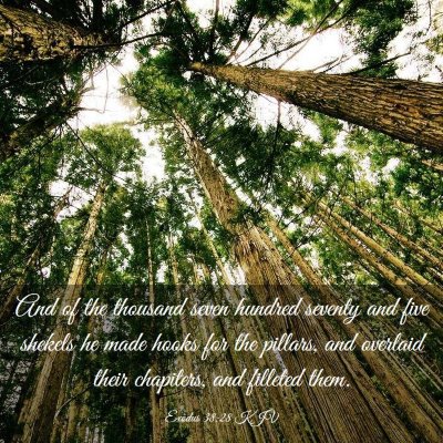 Picture 03 - Exodus 38:28 KJV - And of the thousand seven hundred seventy and - Bible Verse Picture