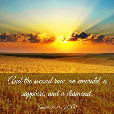 Picture 03 - Exodus 39:11 KJV - And the second row, an emerald, a sapphire, and a - Bible Verse Picture
