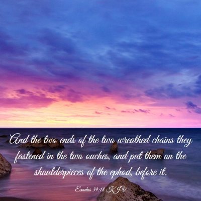 Picture 03 - Exodus 39:18 KJV - And the two ends of the two wreathed chains they - Bible Verse Picture