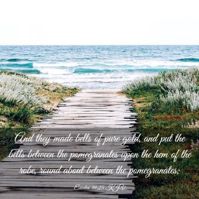Picture 03 - Exodus 39:25 KJV - And they made bells of pure gold, and put the - Bible Verse Picture